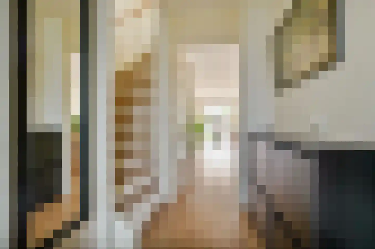 Alaskastroom 29 Huizen thumbnail 21