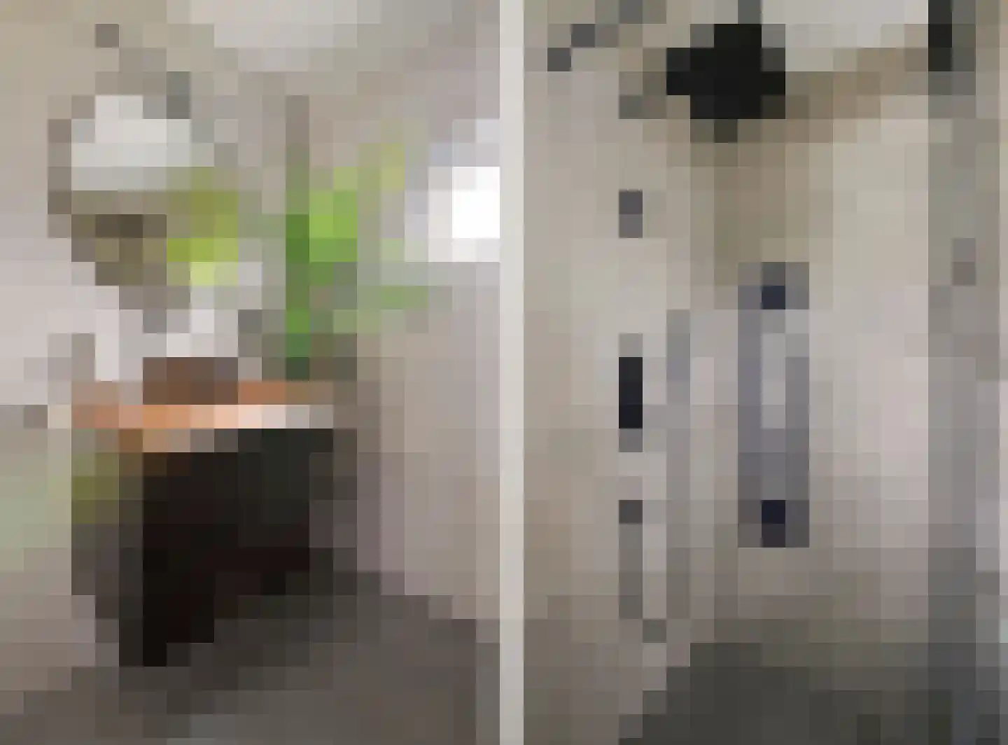 Alaskastroom 29 Huizen thumbnail 26