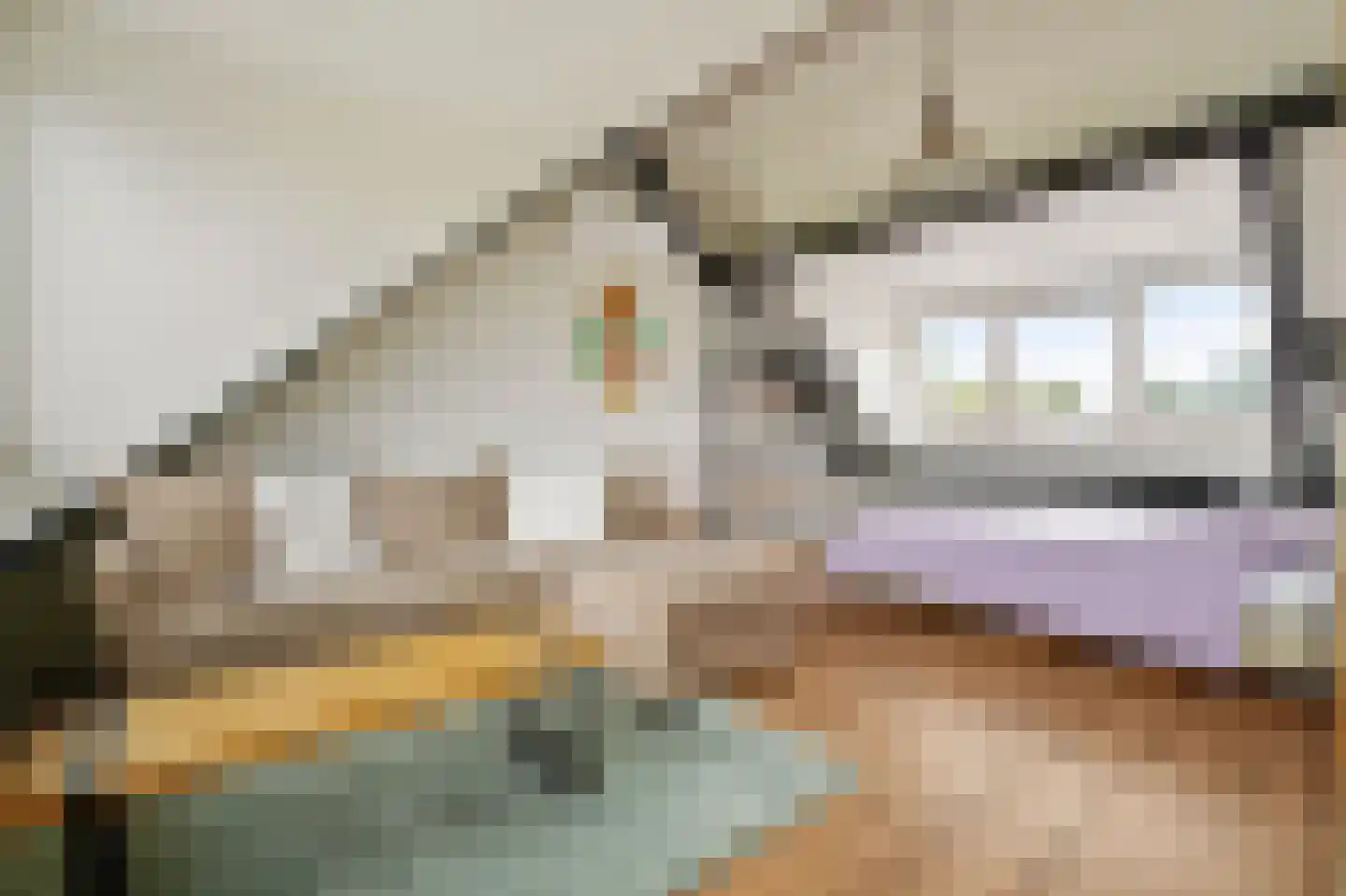 Alaskastroom 29 Huizen thumbnail 34