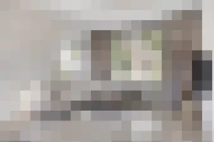 Alb. Thijmstraat 10 Valkenswaard thumbnail 8
