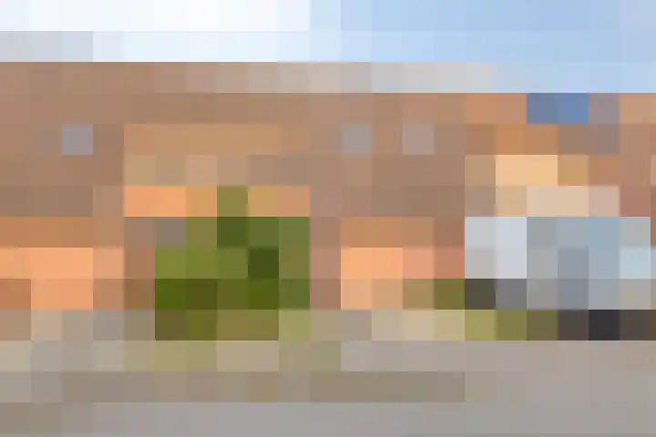 Albadastins 60 Leeuwarden thumbnail 6