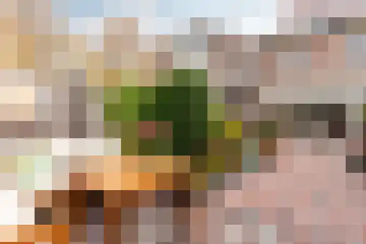 Alban Bergstraat 6 Almere thumbnail 34