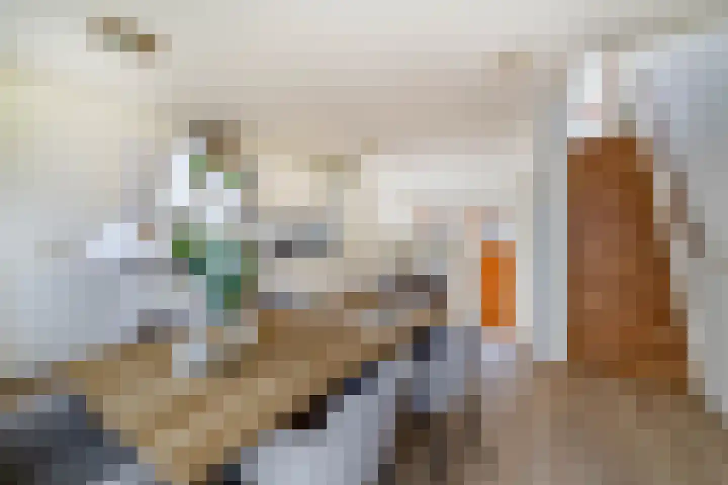 Albardagracht 110 Amsterdam thumbnail 12
