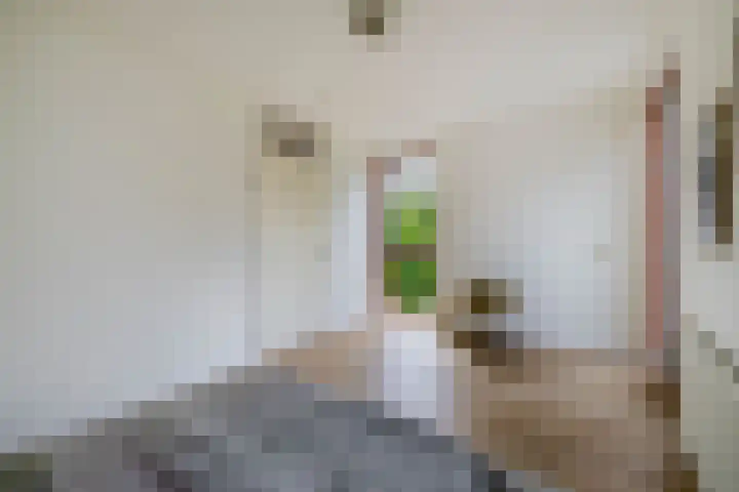 Albardagracht 110 Amsterdam thumbnail 14