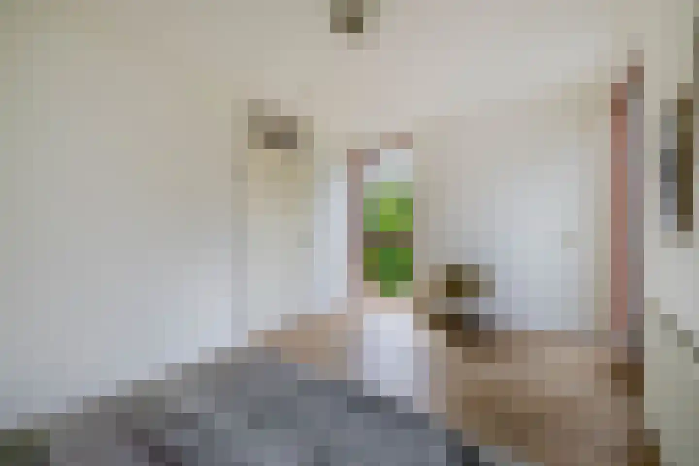 Albardagracht 110 Amsterdam thumbnail 16