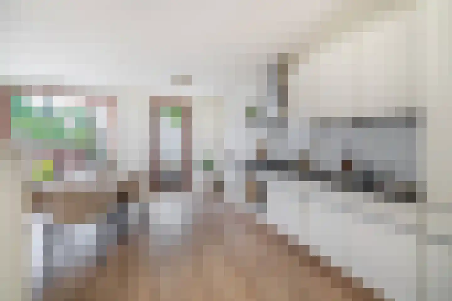 Albardagracht 110 Amsterdam thumbnail 8