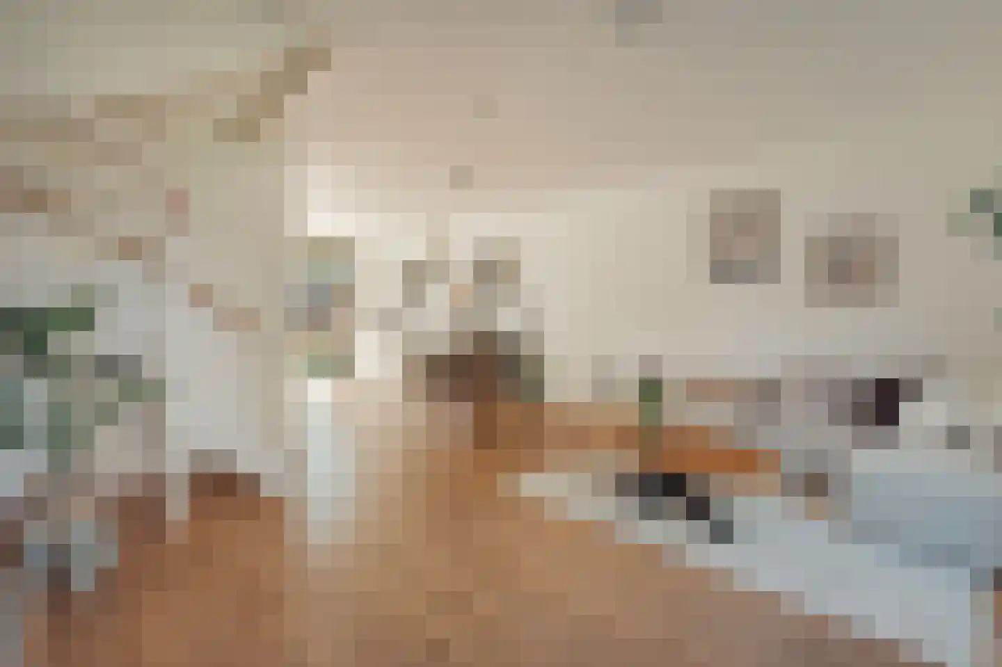 Albardagracht 78 Amsterdam thumbnail 8