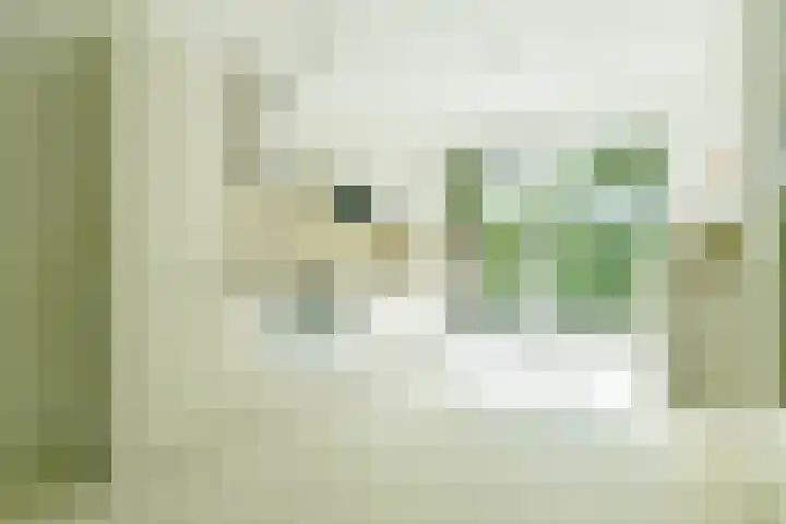 Albardagracht 80 Amsterdam thumbnail 12