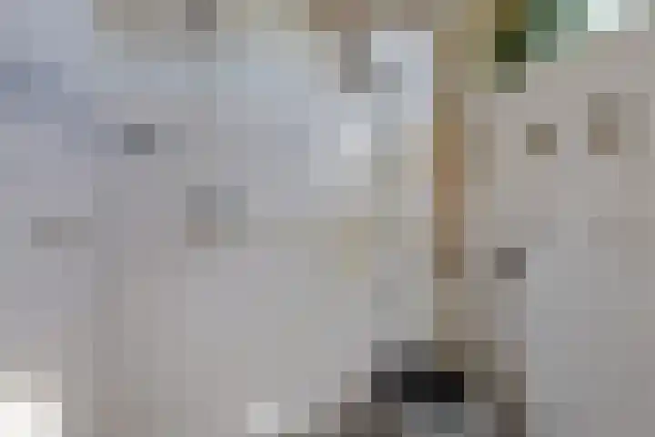 Albardaplein 30 Hoogezand thumbnail 24
