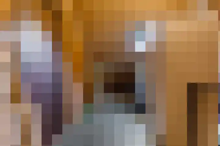Albardaplein 30 Hoogezand thumbnail 28