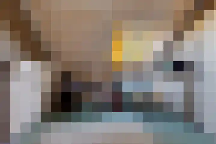 Albardaplein 30 Hoogezand thumbnail 30
