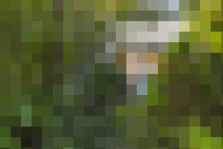 Albardaplein 30 Hoogezand thumbnail 33
