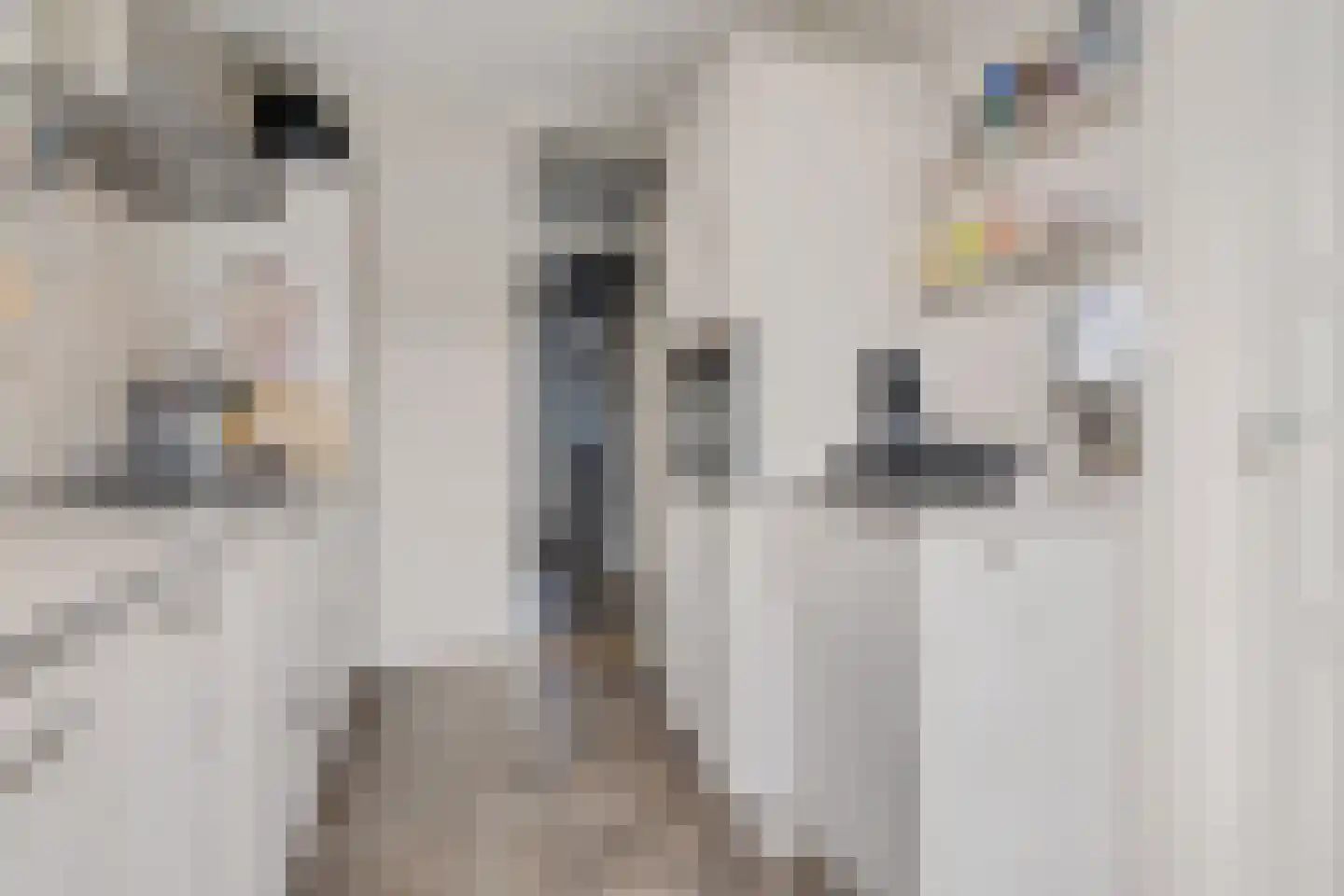 Albardaplein 4 Hoogezand thumbnail 12