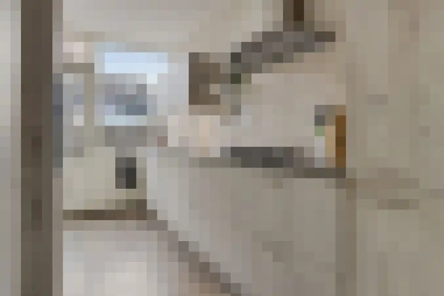 Albardaplein 4 Hoogezand thumbnail 14