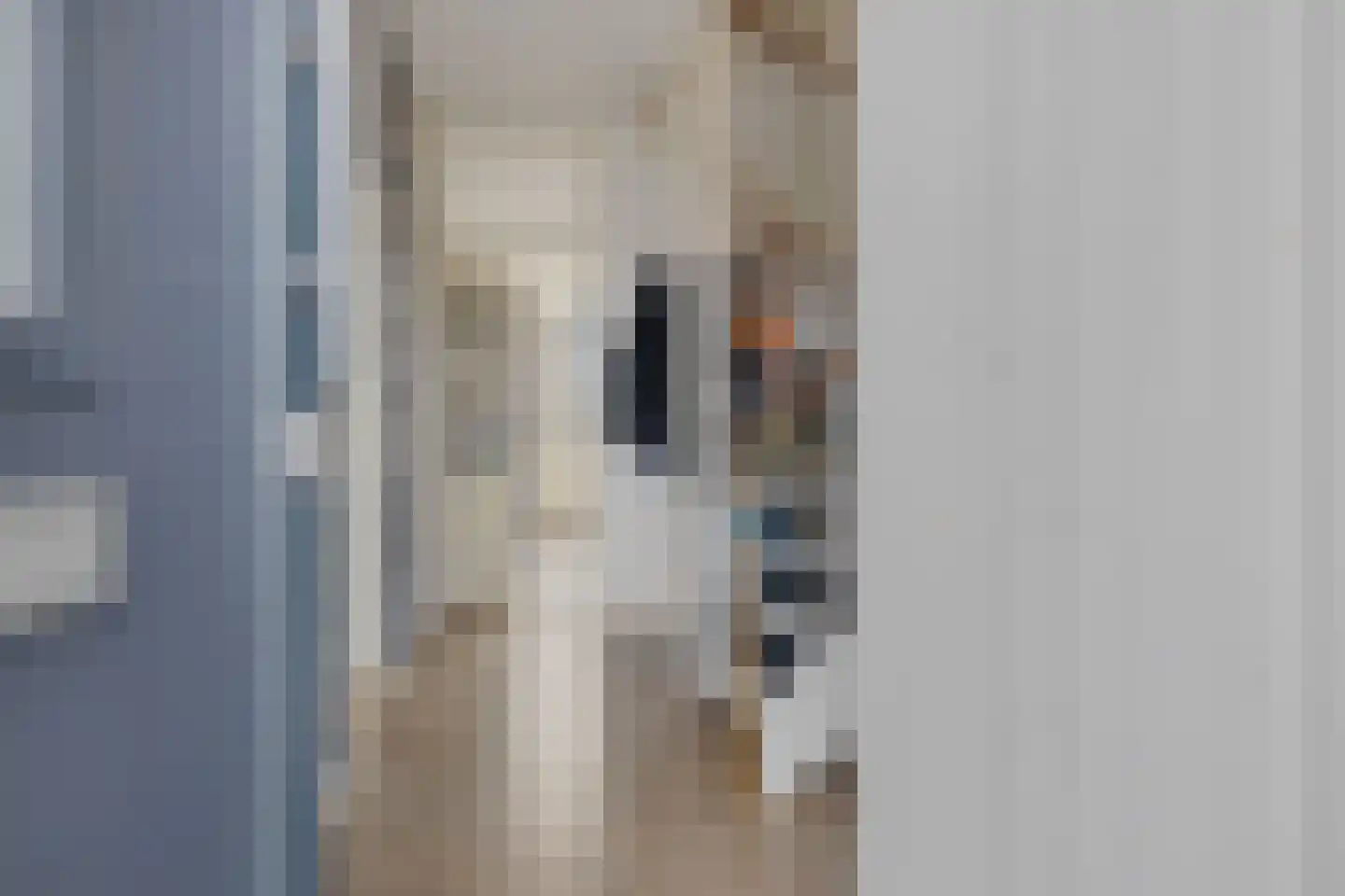 Albardaplein 4 Hoogezand thumbnail 5