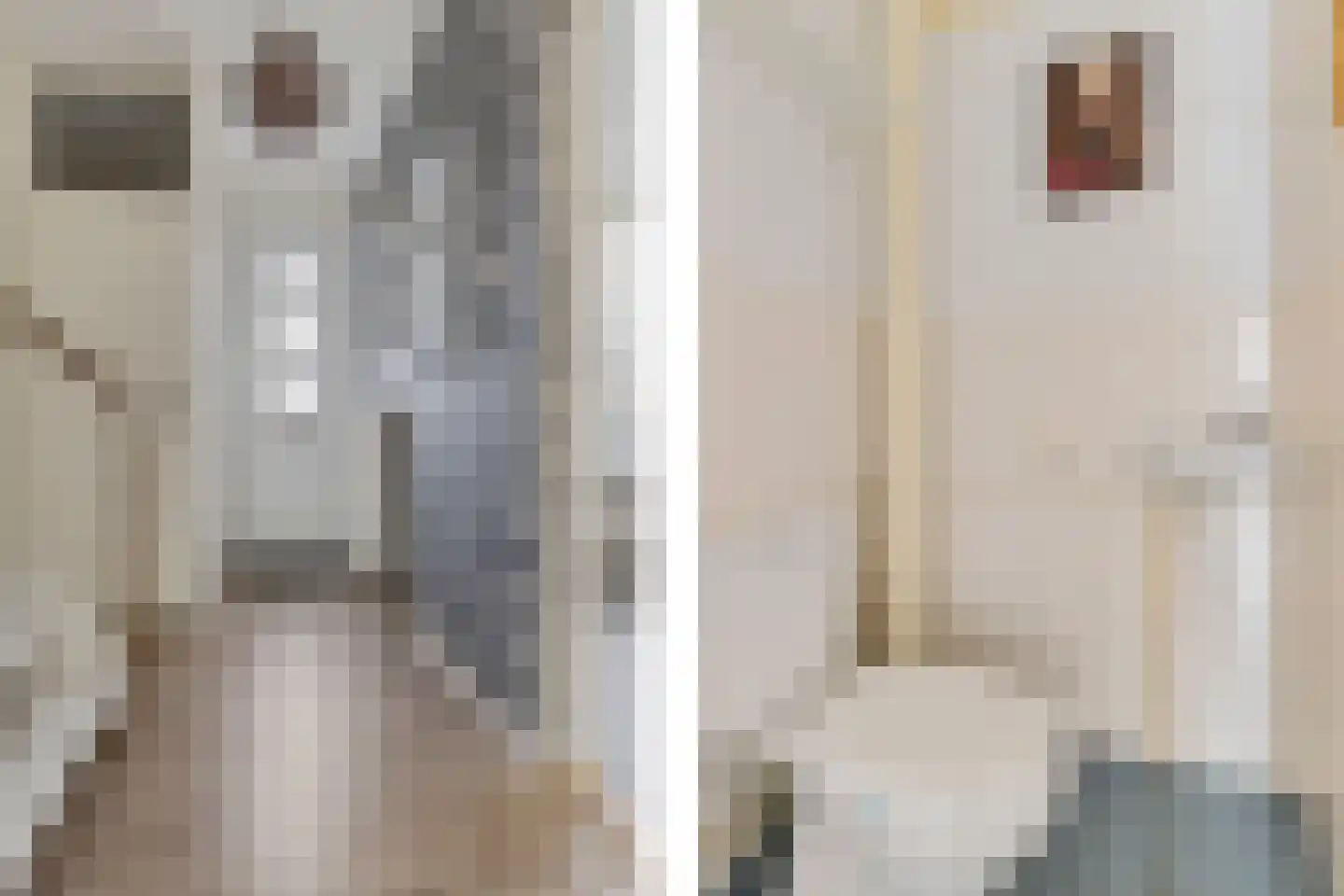 Albardaplein 4 Hoogezand thumbnail 6