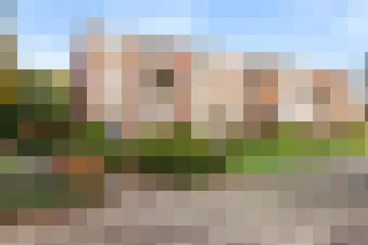 Albardastraat 110 Apeldoorn thumbnail 24