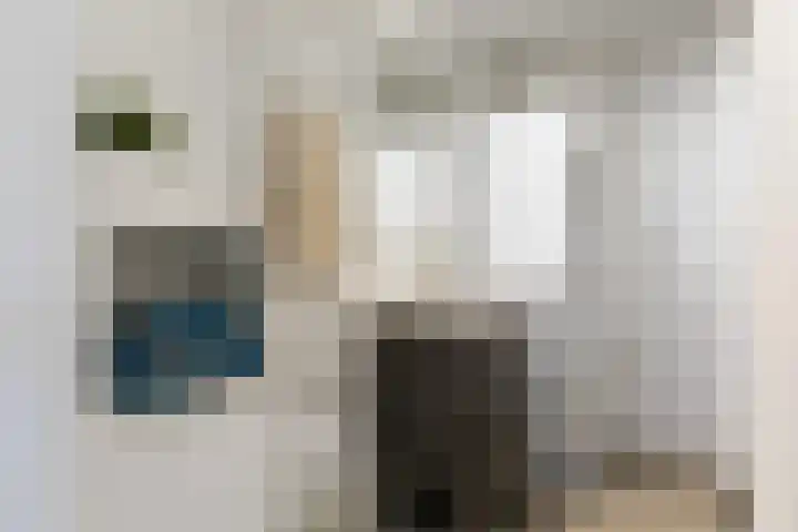 Albardastraat 112 Apeldoorn thumbnail 25