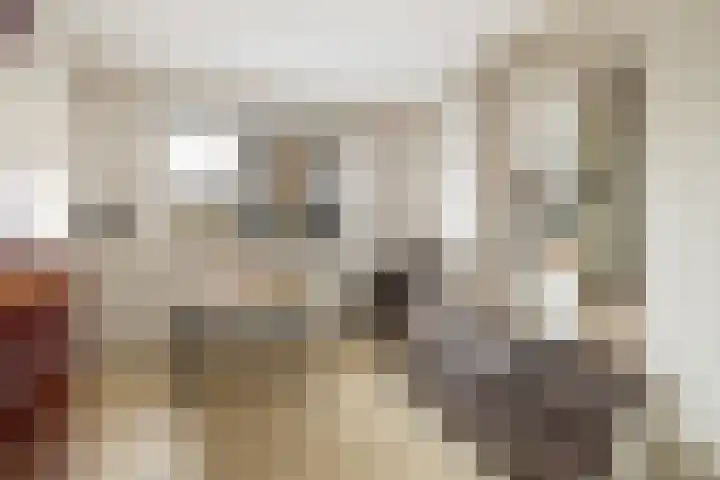 Albardastraat 12 Maarssen thumbnail 26
