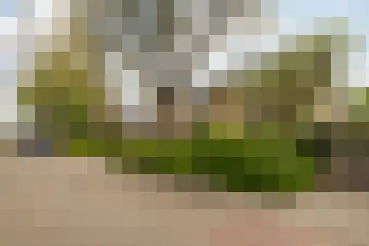 Albardastraat 12 Maarssen thumbnail 4