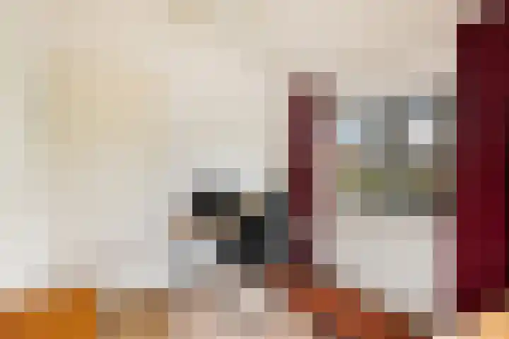 Albardastraat 12 Maarssen thumbnail 40