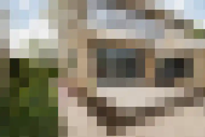 Albardastraat 12 Maarssen thumbnail 9
