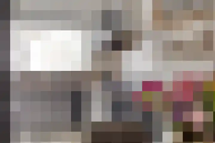 Albardastraat 125 Oss thumbnail 10