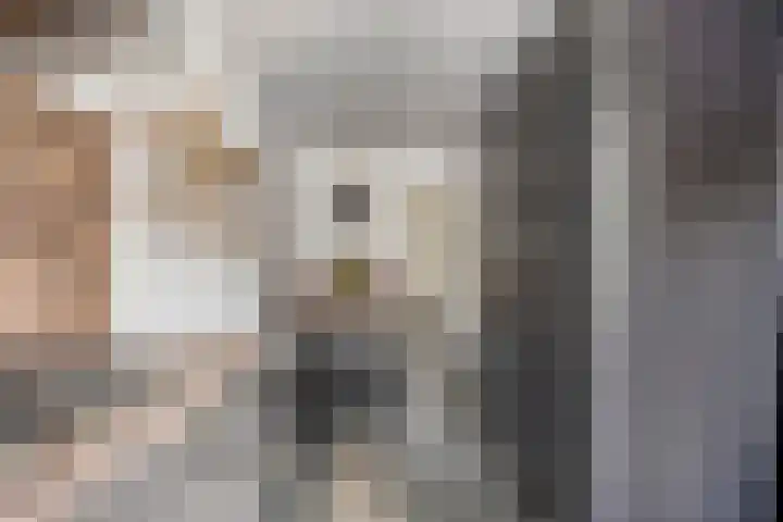 Albardastraat 125 Oss thumbnail 12
