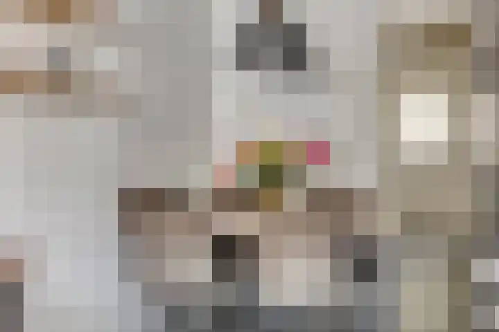 Albardastraat 125 Oss thumbnail 13