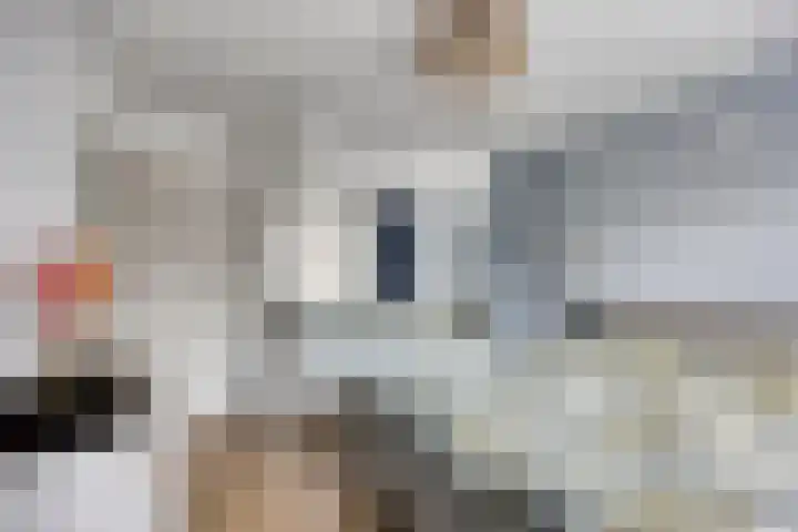Albardastraat 125 Oss thumbnail 17