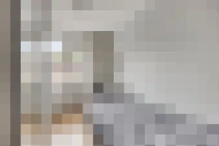 Albardastraat 125 Oss thumbnail 18
