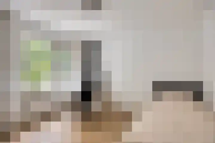 Albardastraat 125 Oss thumbnail 19