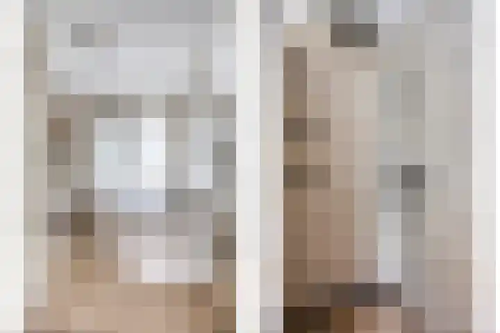 Albardastraat 125 Oss thumbnail 20