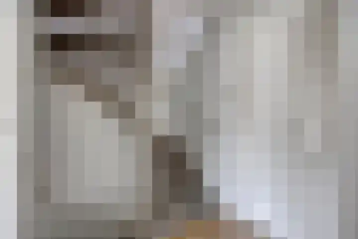 Albardastraat 125 Oss thumbnail 21