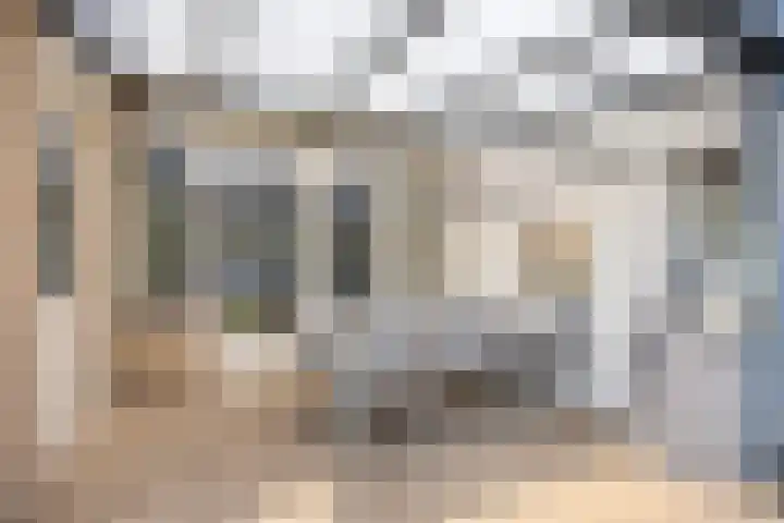 Albardastraat 125 Oss thumbnail 26