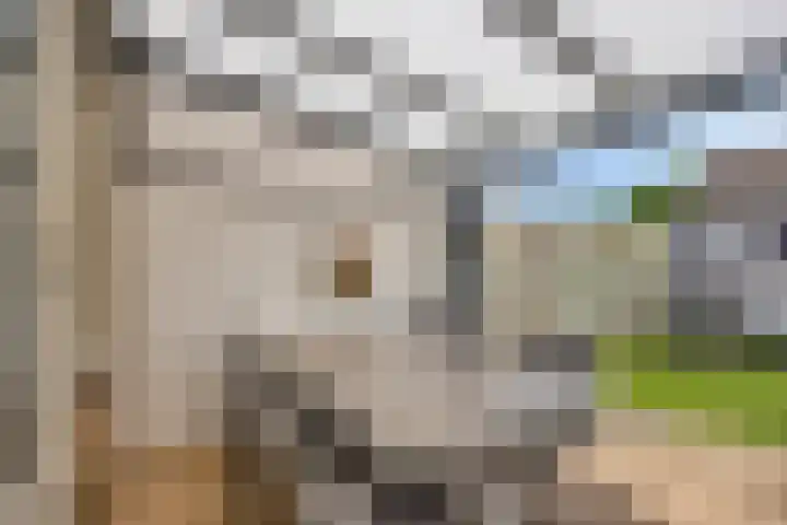 Albardastraat 125 Oss thumbnail 27