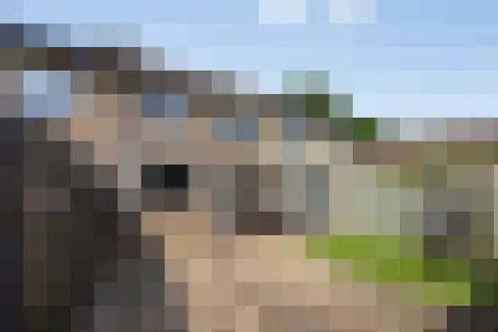 Albardastraat 125 Oss thumbnail 28