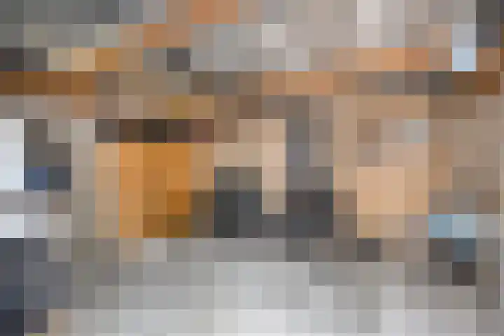 Albardastraat 125 Oss thumbnail 30