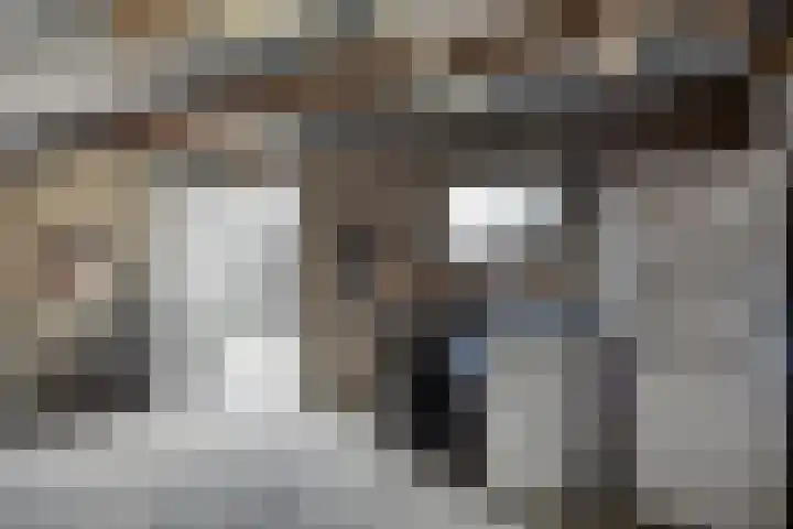 Albardastraat 125 Oss thumbnail 31
