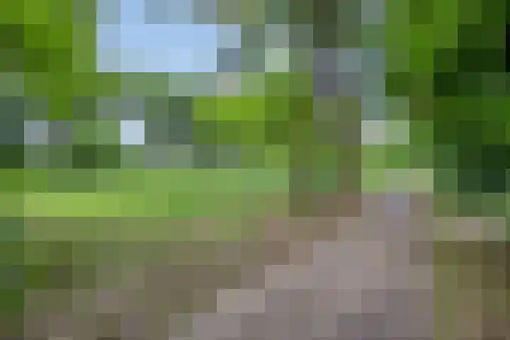 Albardastraat 125 Oss thumbnail 32