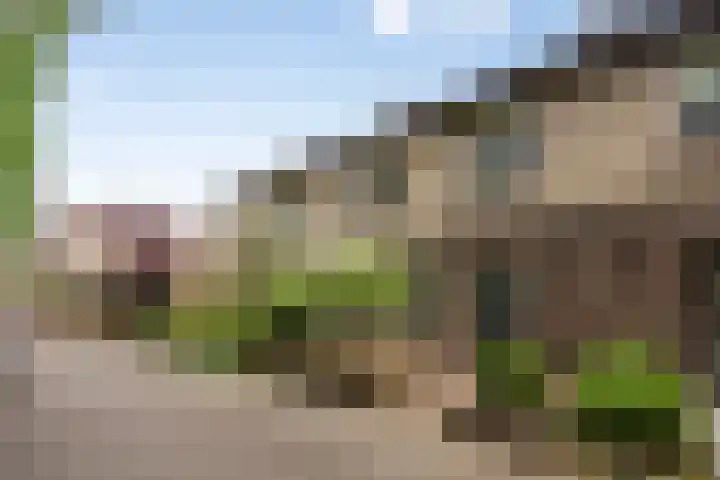 Albardastraat 125 Oss thumbnail 4