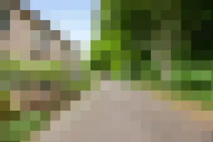 Albardastraat 125 Oss thumbnail 5