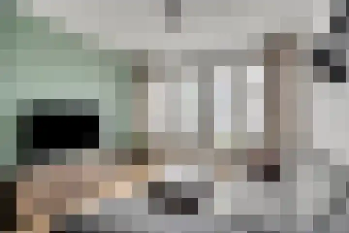Albardastraat 125 Oss thumbnail 6