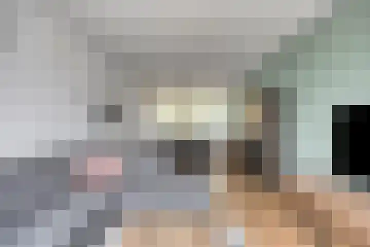 Albardastraat 125 Oss thumbnail 7