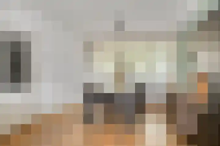 Albardastraat 125 Oss thumbnail 8