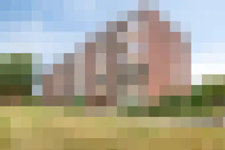 Albardastraat 156 Apeldoorn thumbnail 25