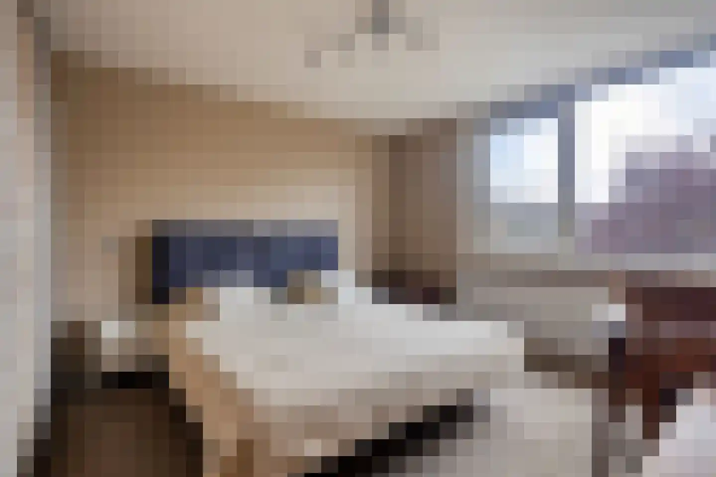 Albardastraat 21 Goes thumbnail 18