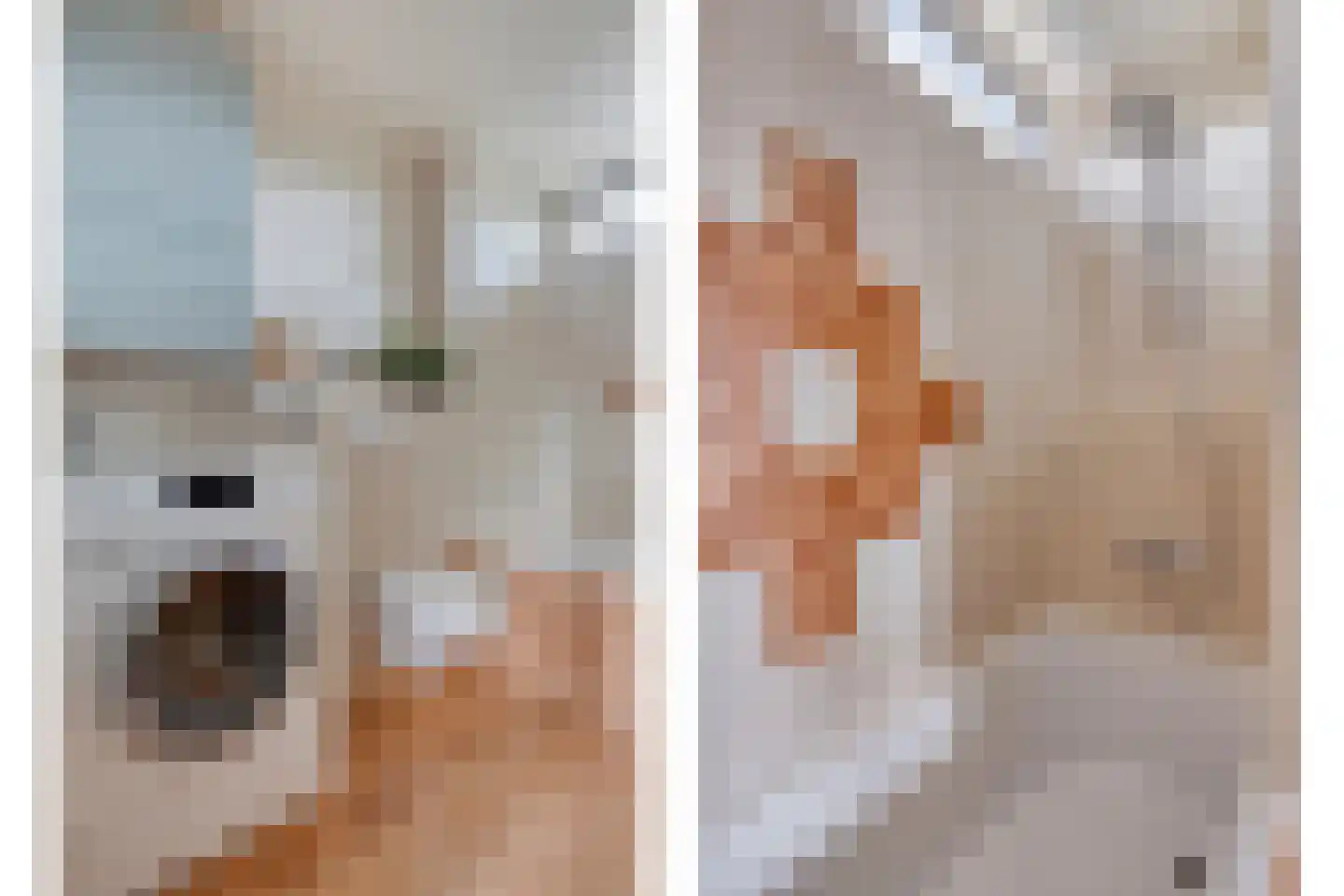 Albardastraat 21 Goes thumbnail 21