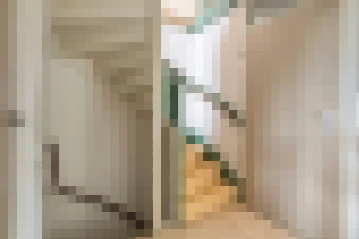 Albardastraat 21 Goes thumbnail 22