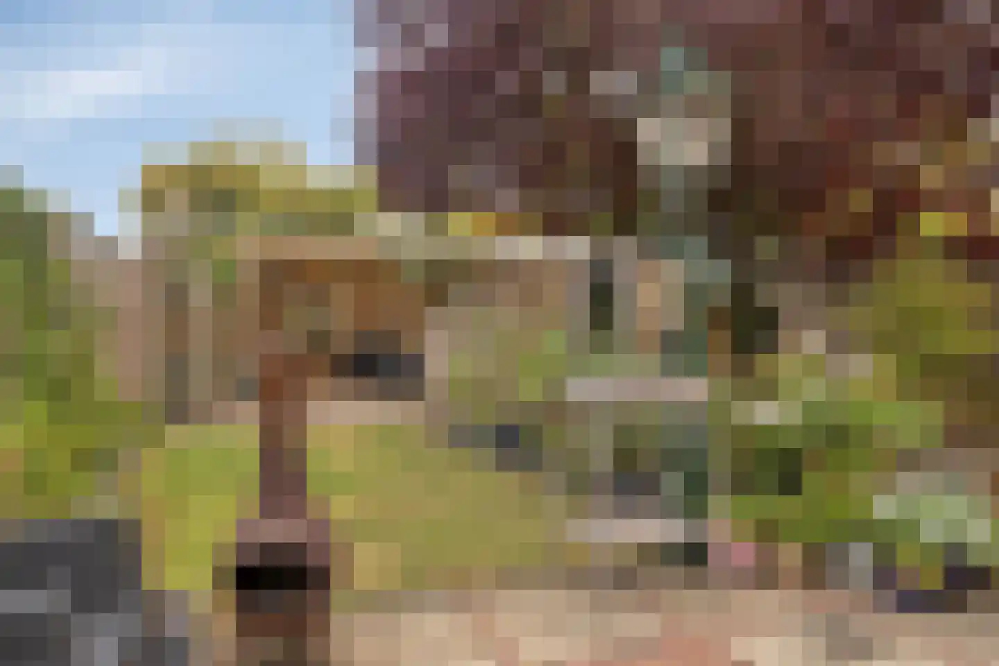 Albardastraat 21 Goes thumbnail 27